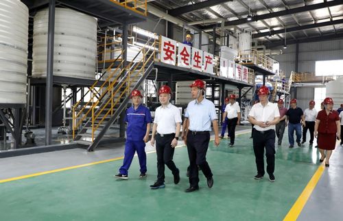 湖南永澤冶金與永晟?？萍夹聫S竣工投產，并深化教育咨詢服務，開啟產業與人才協同發展新篇章